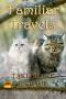 [Familiar Magic 03] • Familiar Travels